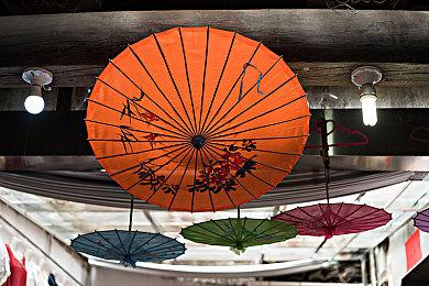 抢先体验《最后的利维坦》多年未更新 现已从GOG下架